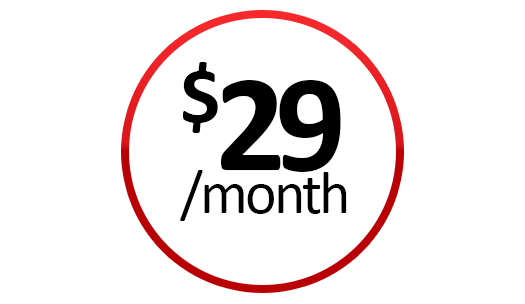 $29/month - coupon