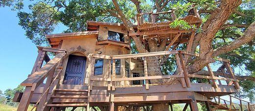 A multi-level wooden treehouse with an arched doorway and railings, built around a large, leafy tree under a blue sky.