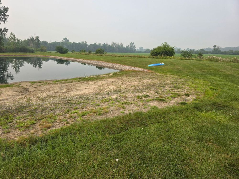 Quiet grassy lakeside with a sandy bank, still water, and distant trees under a cloudy sky