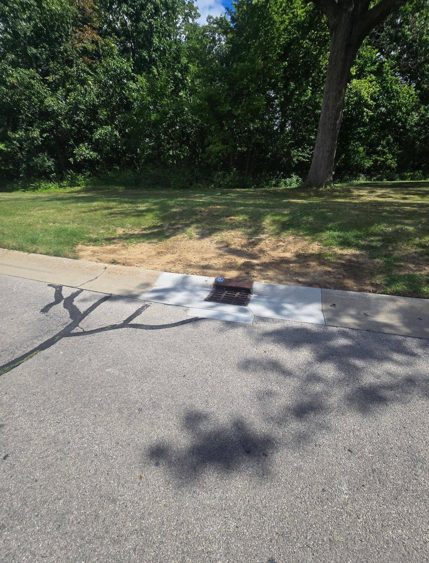 Asphalt path with patch. Square utility access, surrounded by grass, trees in the background.