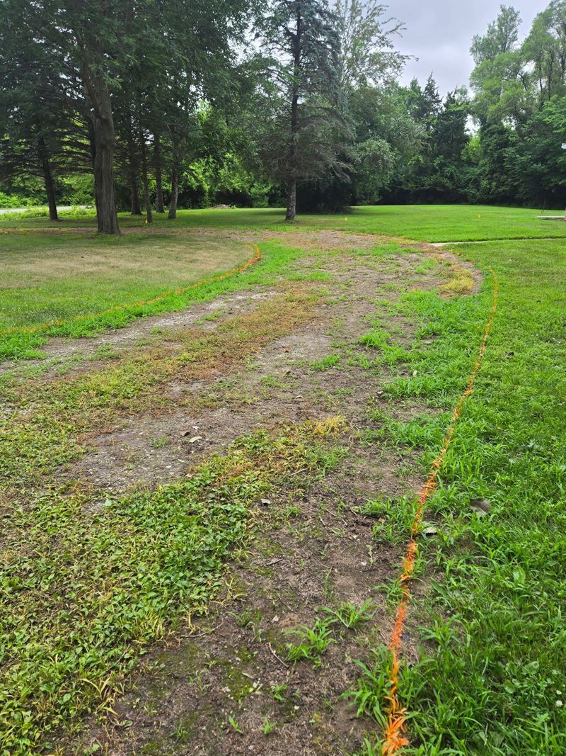 A dirt road going through a grassy field with trees in the background.