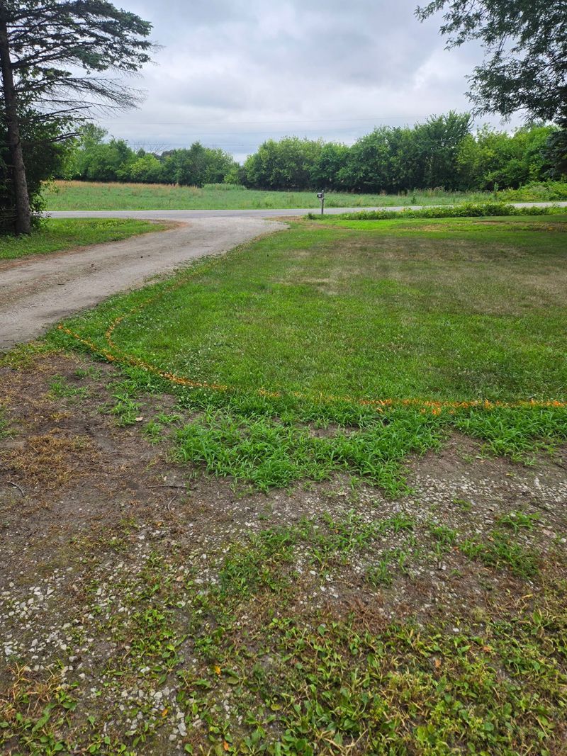 A dirt road going through a grassy field with trees in the background.