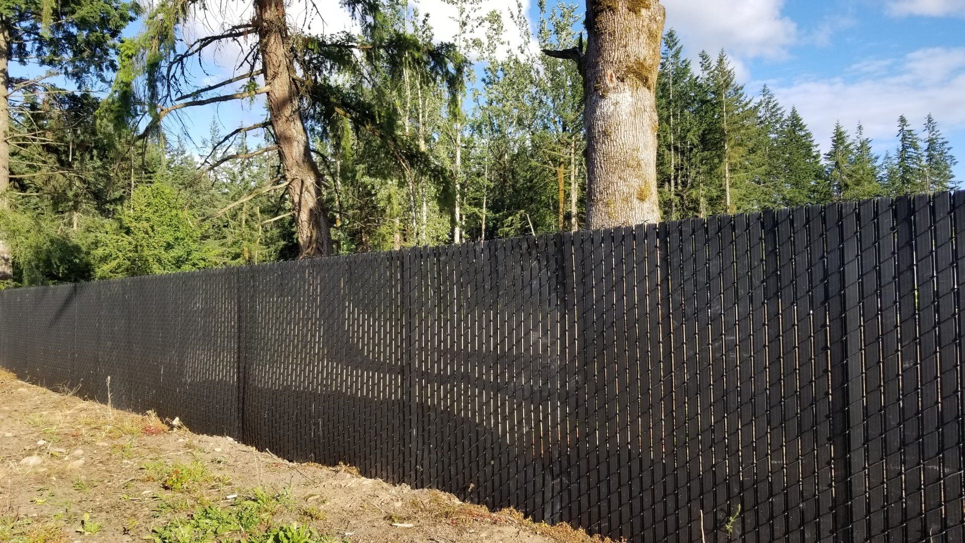 fence with trees
