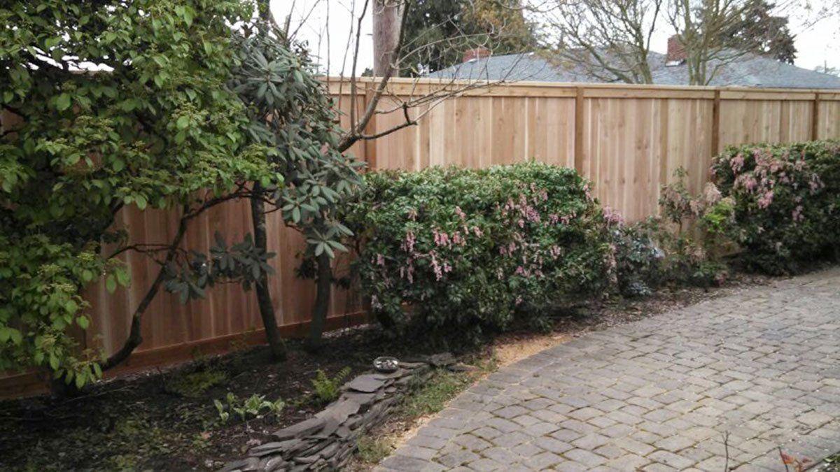 Wood Fencing Services
