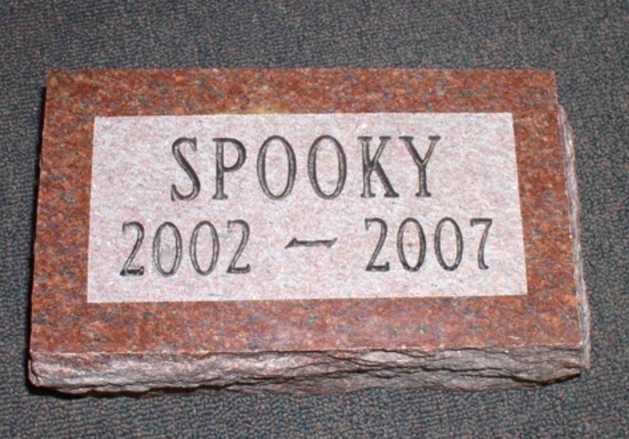 A gravestone for a dog named spooky from 2002-2007