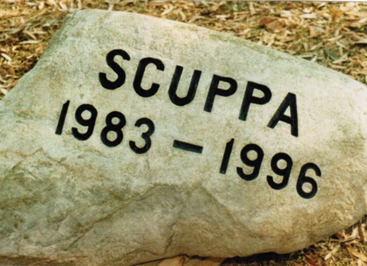 A large rock with scuppa 1983-1996 written on it