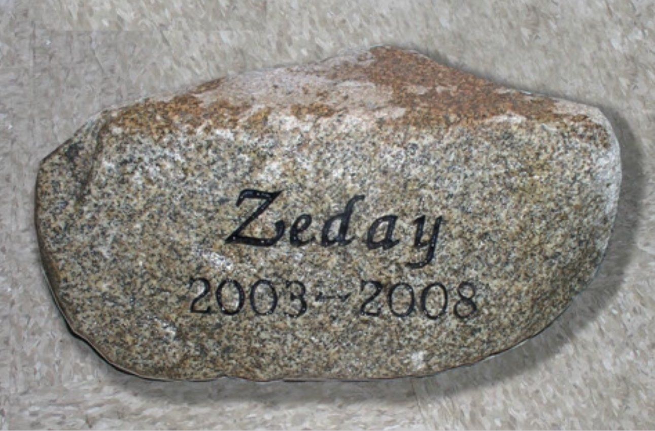 A small rock with the name zeday engraved on it
