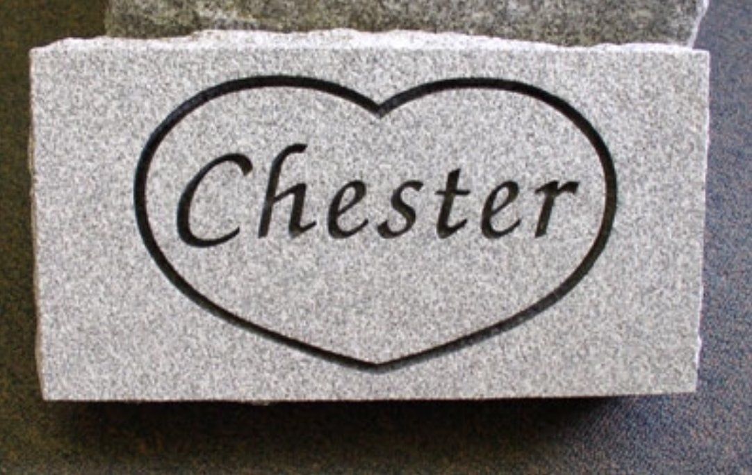A gravestone with the name chester carved into it