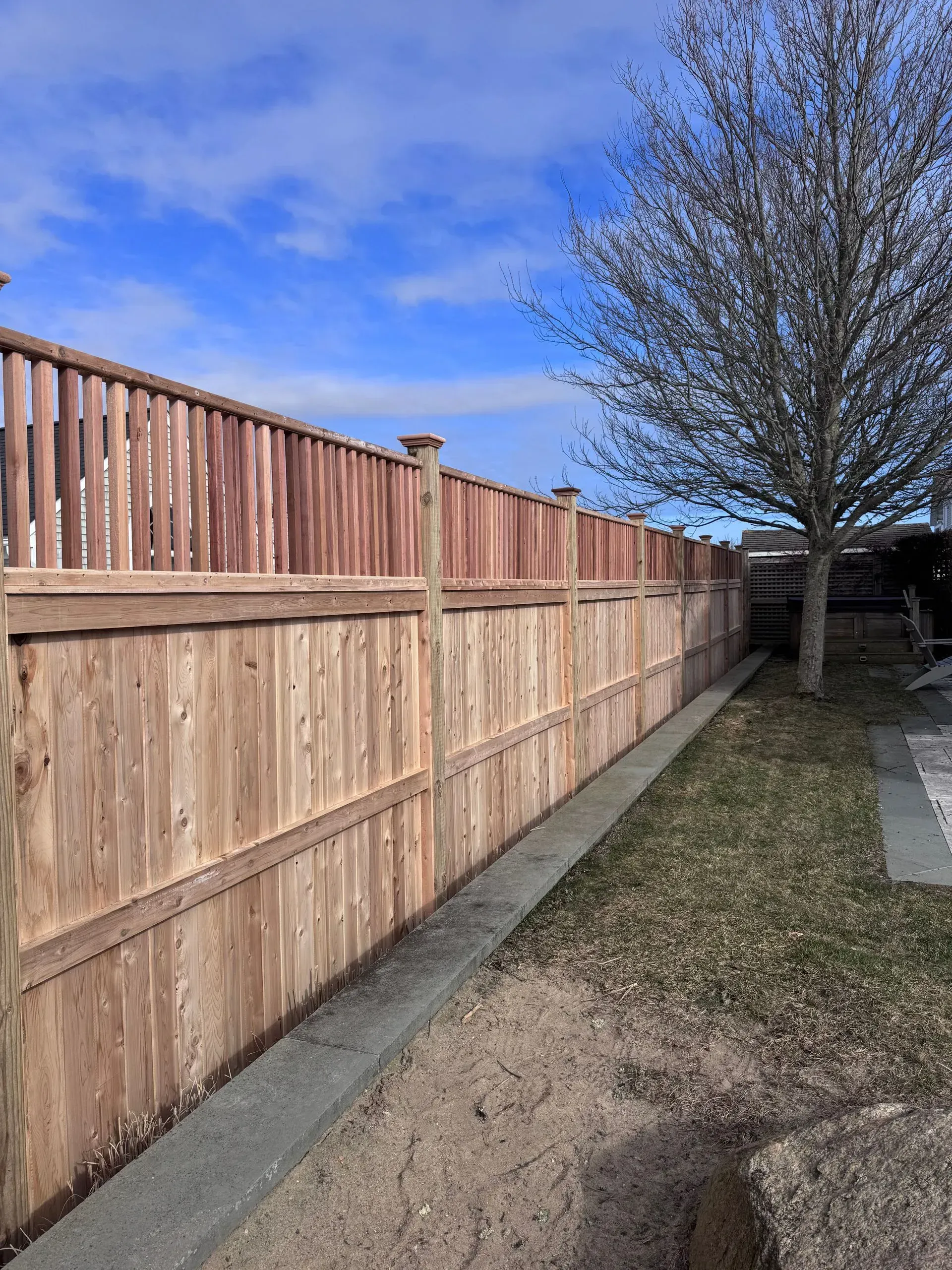 Wooden privacy fence beside a narrow yard path under a blue sky, with a leafless tree on the right.