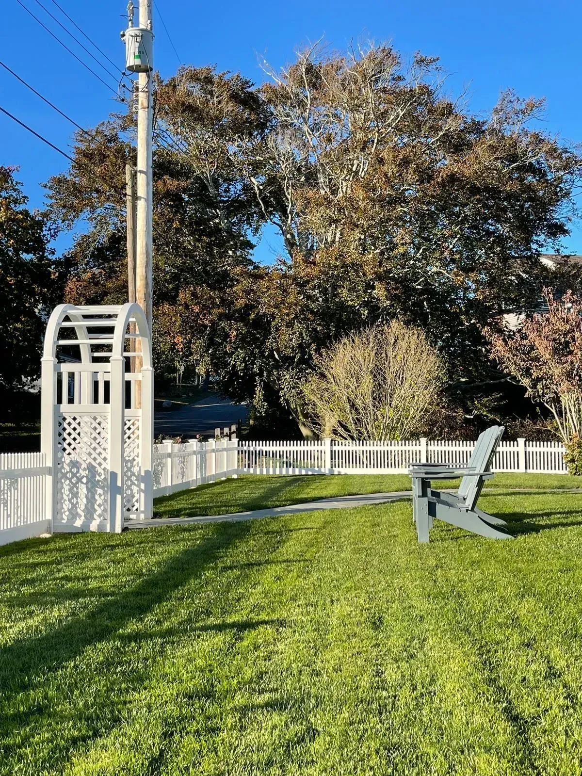 Sunlit grassy yard with a white fence, arbor, large tree, and bench under a blue sky.