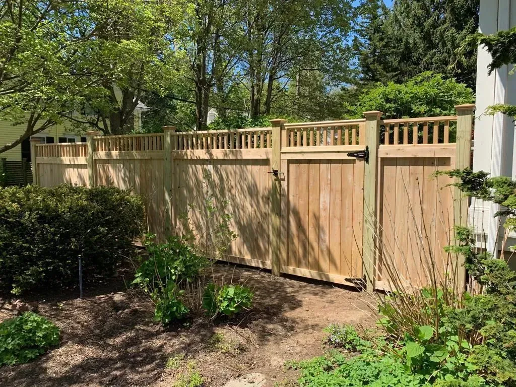 Wooden backyard fence and gate with lattice top, surrounded by trees and shrubs in sunlight.