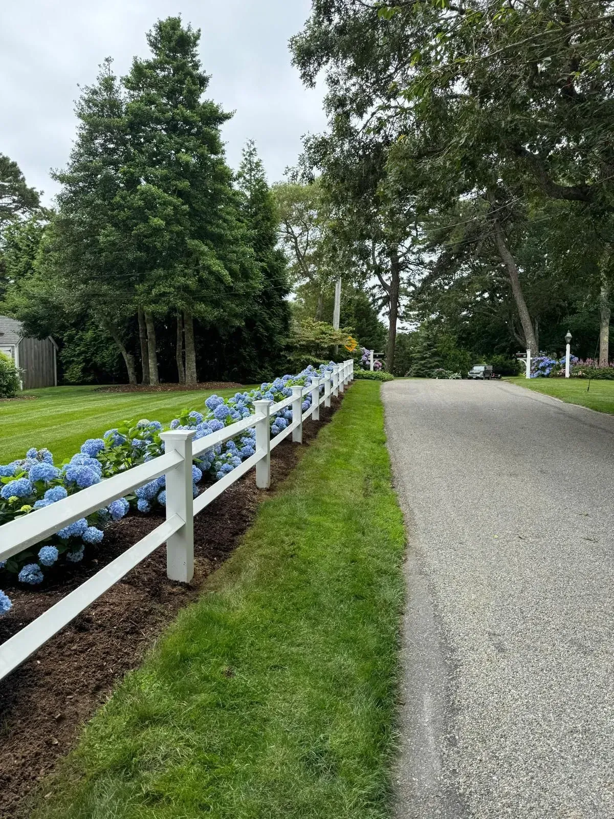 Gravel path beside a white fence and blue flowers, lined with trees in a green park.