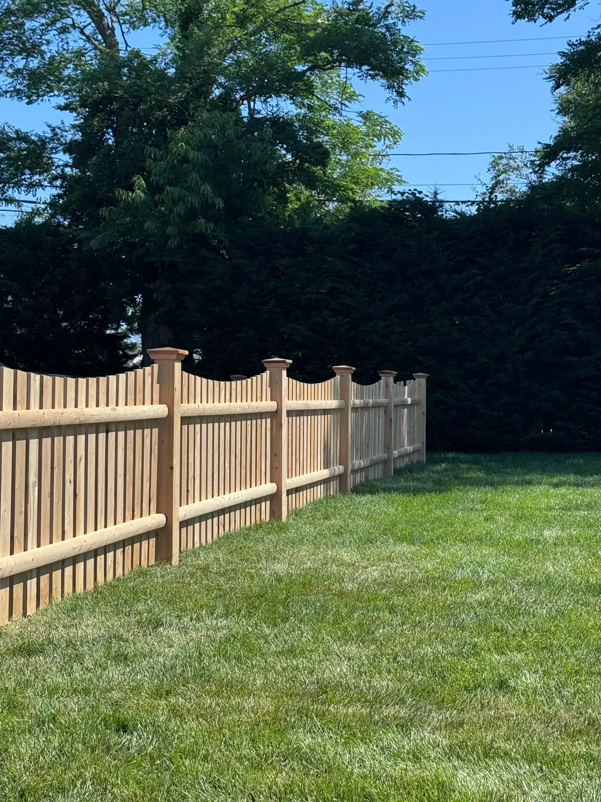 Wooden fence along a grassy yard with trees and a clear blue sky.