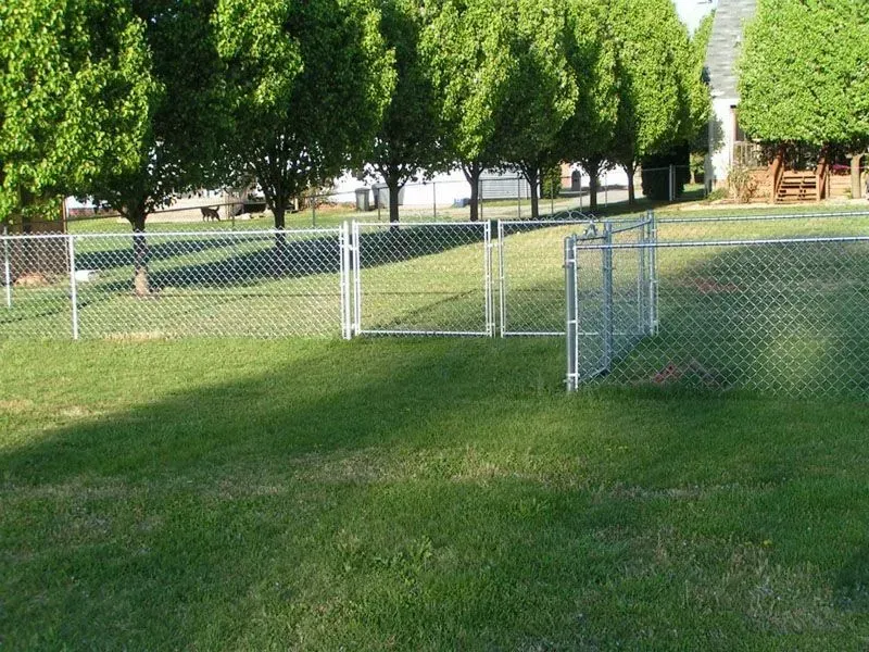 Chain-link fence in a grassy yard, with gates open. Trees and houses are visible in the background.
