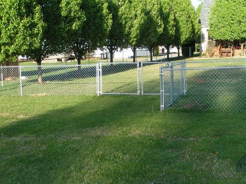 Chain-link fence in a grassy yard, with gates, trees, and houses in the background.