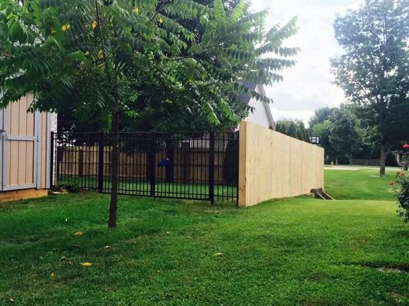 Lush green backyard with a black metal fence and a tall wooden fence bordering the property.