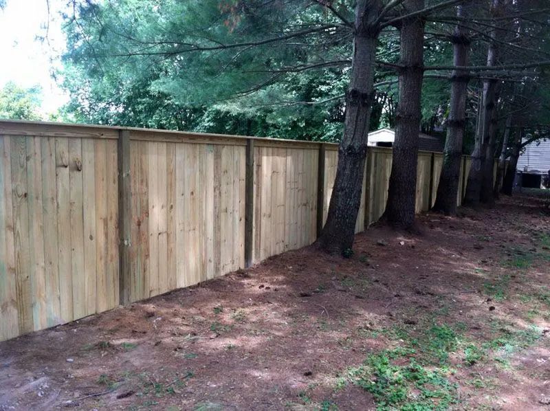 Wooden fence along trees in a grassy yard.