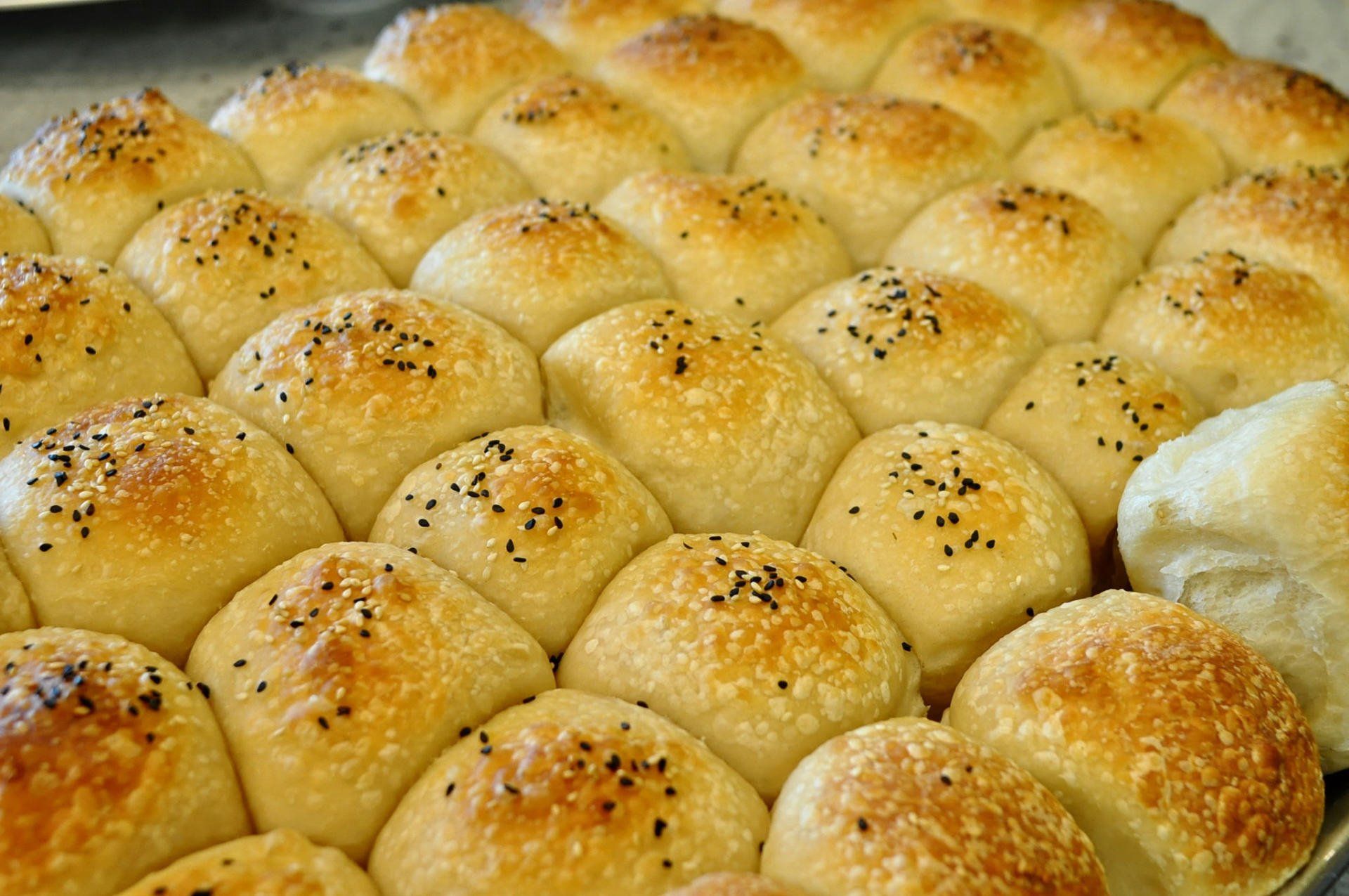 Delicious Italian food