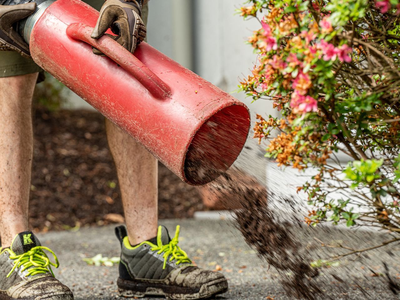 Person uses a red leaf blower to clear debris from a path near flowers and shoes