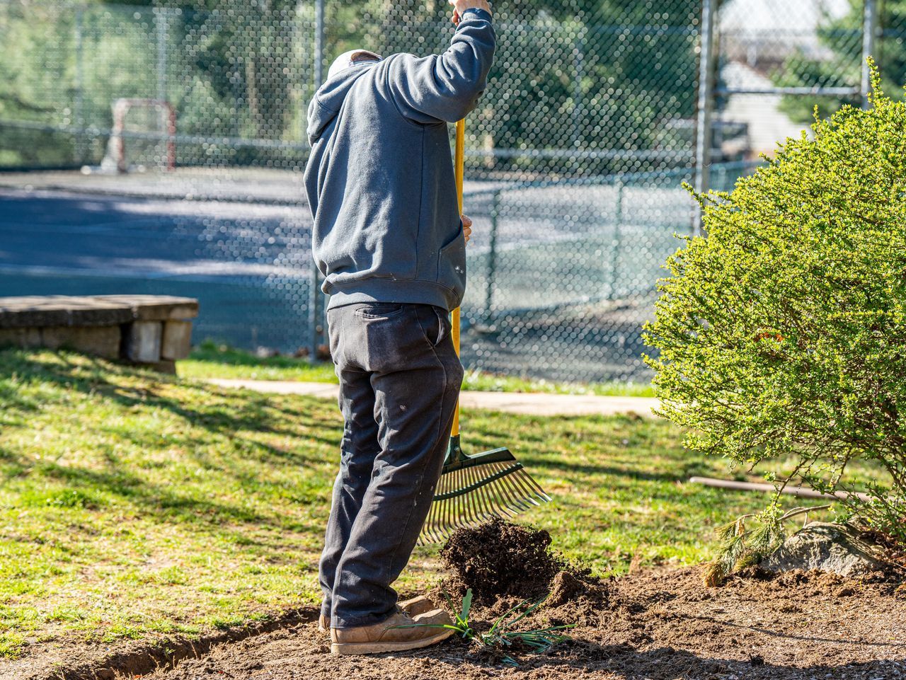 Person raking leaves in a sunny yard beside a bush and fence