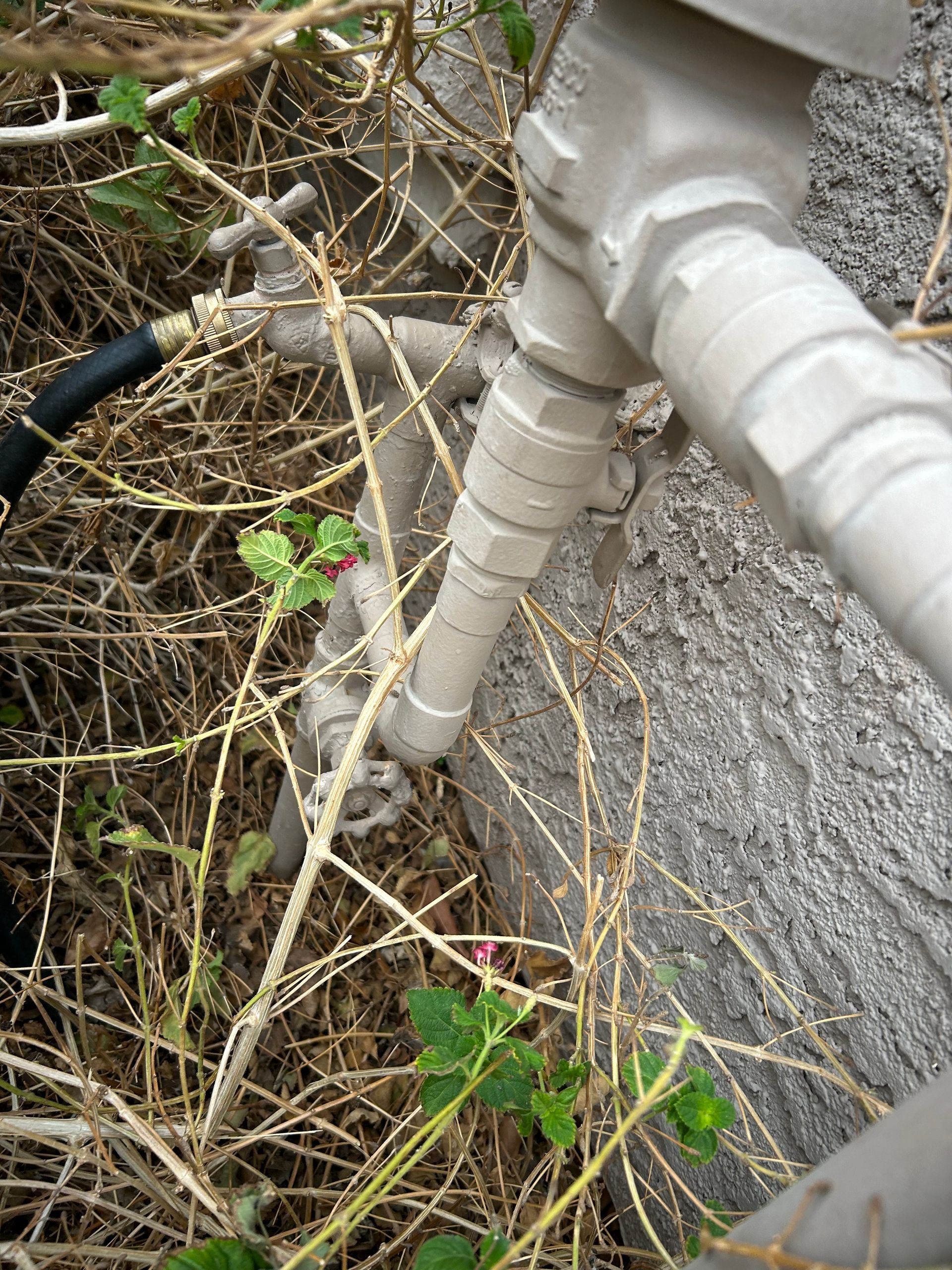 Outdoor water spigot with hose attachment, surrounded by dry weeds and greenery, attached to a stone surface.