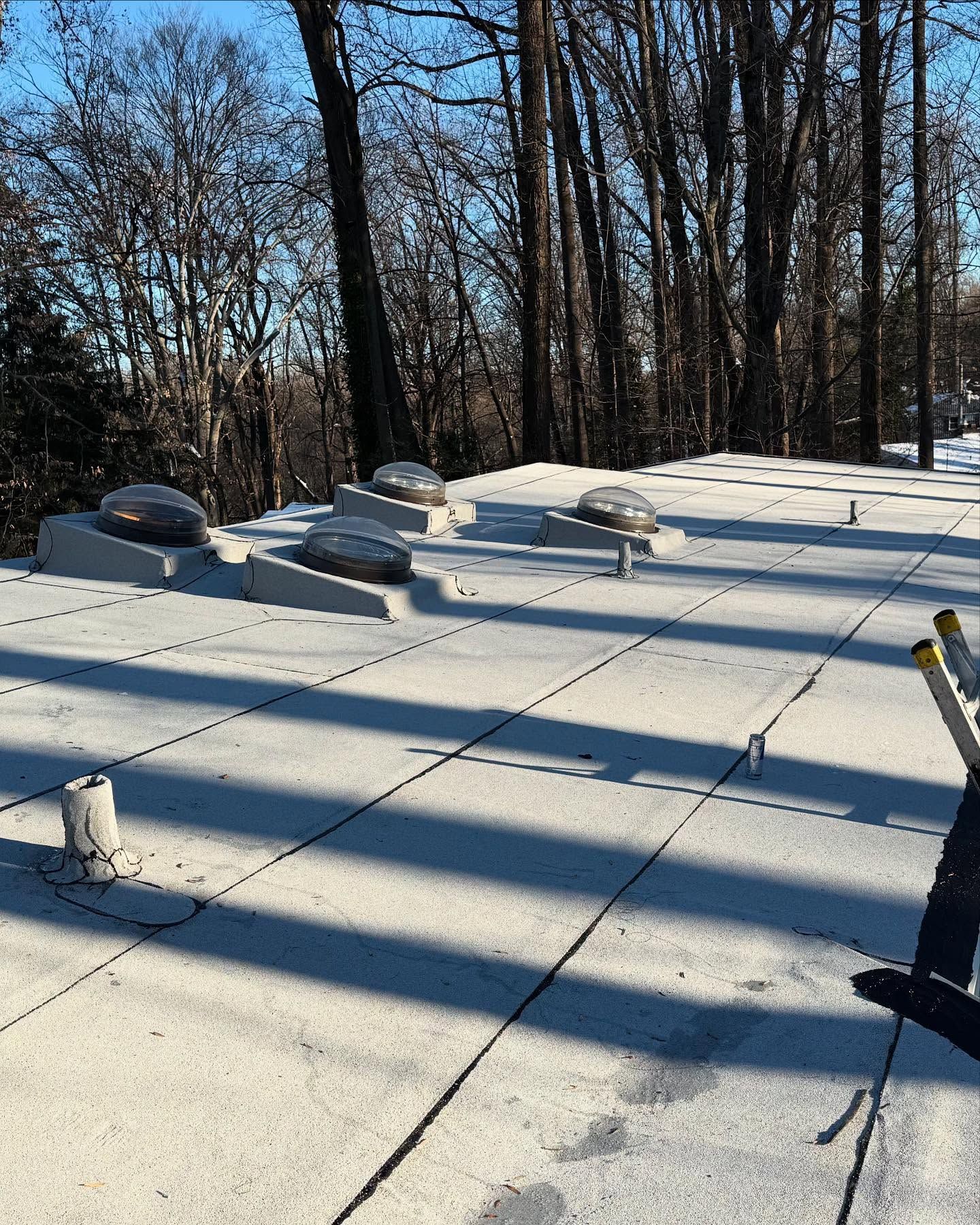A snowy roof with trees in the background