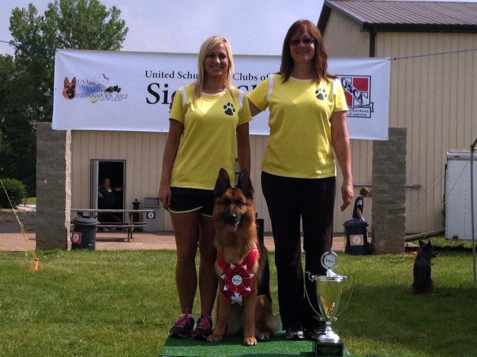 German Shepperd with award
