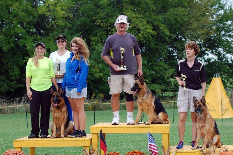 German Shepperd with award