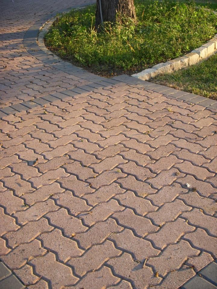 A brick walkway with a tree in the background