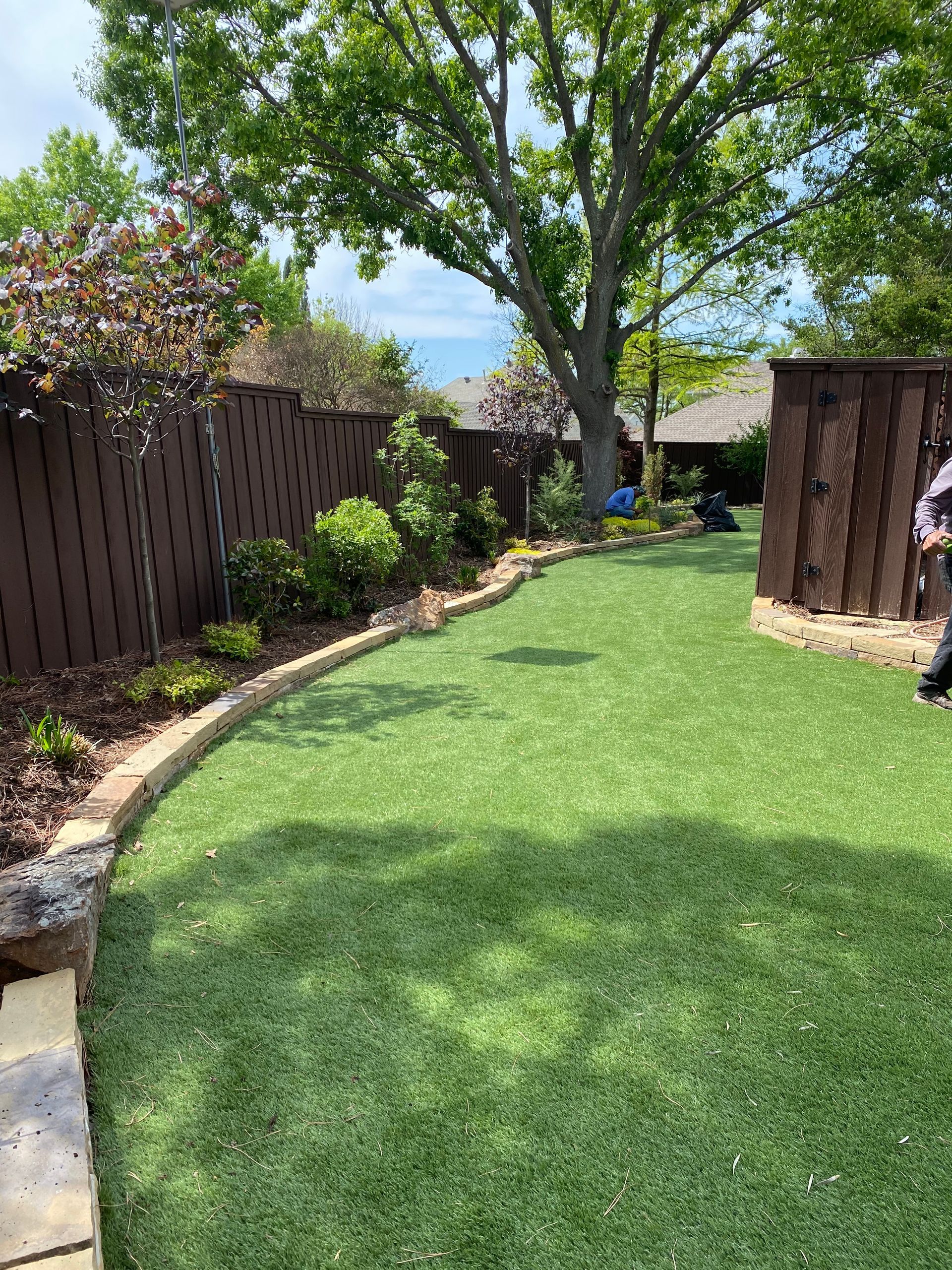 A person is standing on a lush green lawn in a backyard.