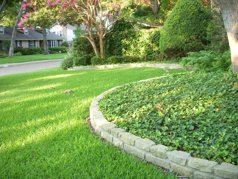 a lush green lawn with a stone curb and a tree in the background
