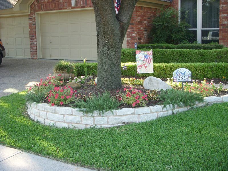 a tree in the middle of a lush green lawn in front of a house .