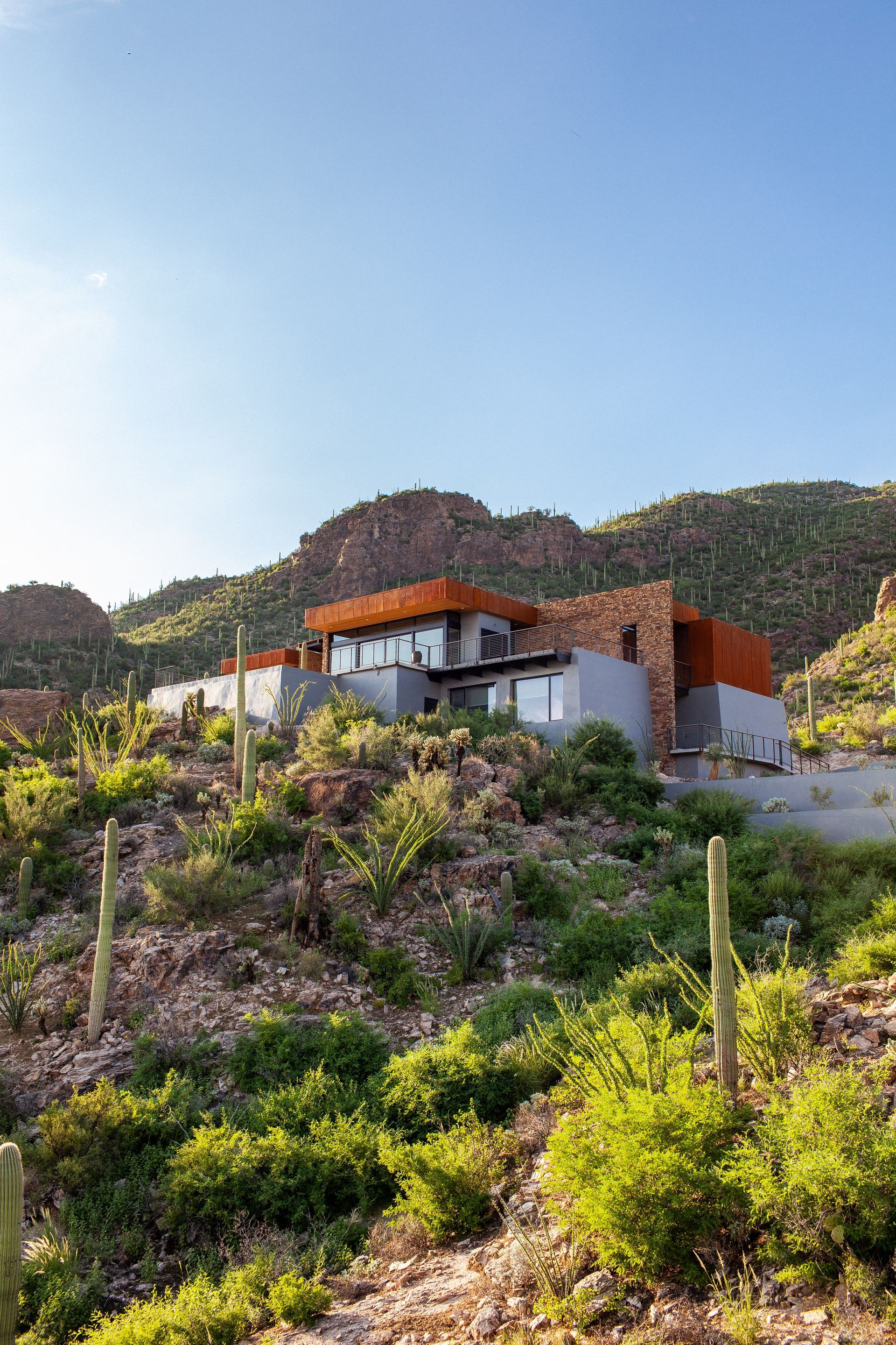 A modern house is sitting on top of a hill in the middle of a lush green field.