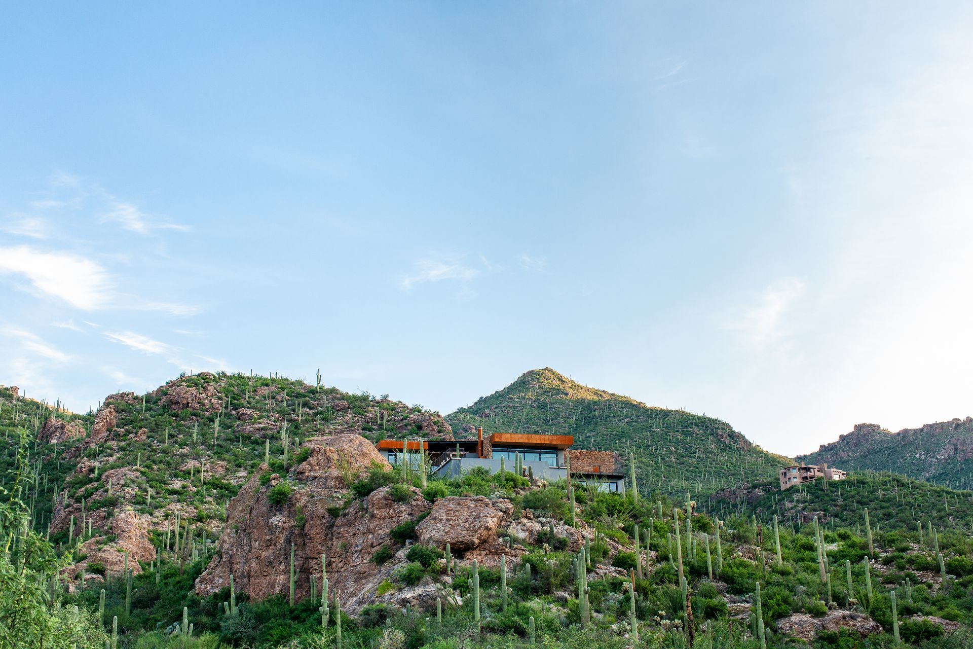 A house is sitting on top of a hill surrounded by cactus.