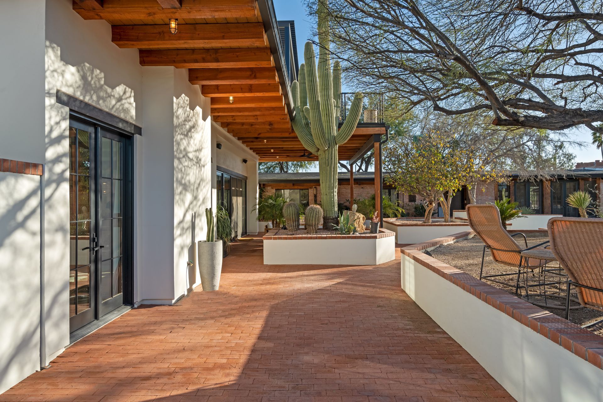 A patio with chairs and a cactus in the middle of it
