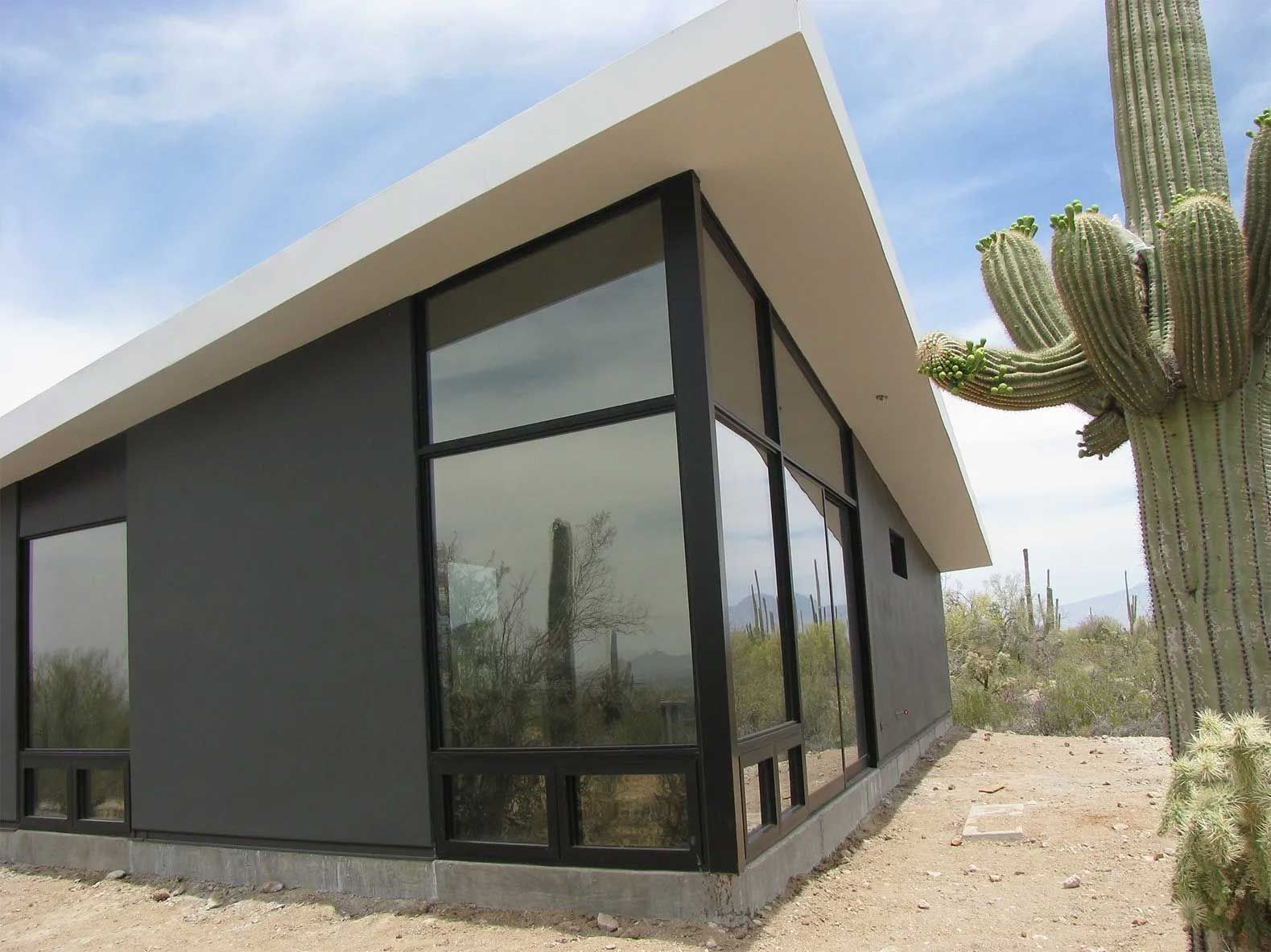 A house with a cactus in front of it