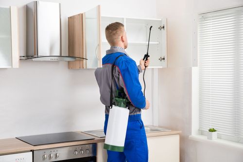 Technician in blue overalls using a sprayer to treat kitchen cabinets in a bright kitchen