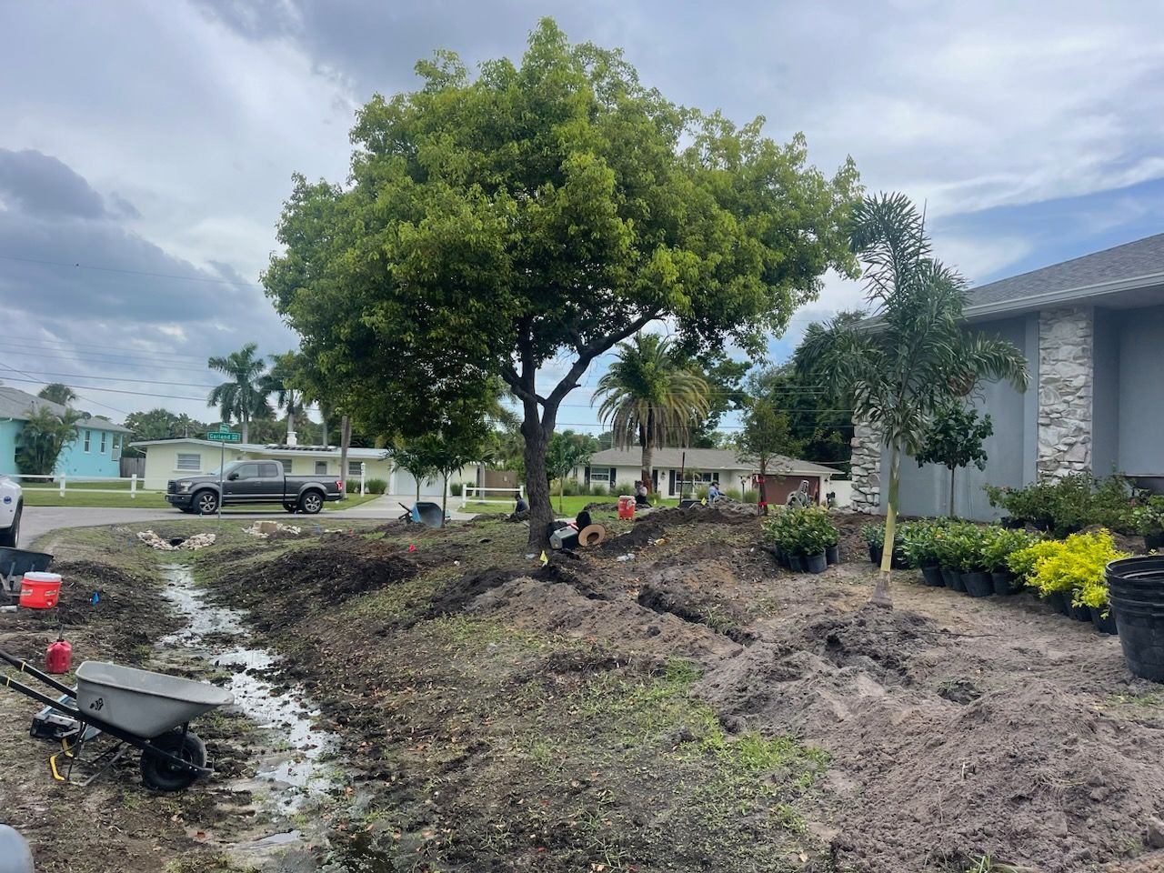 A group of people are planting trees in a yard in front of a house.