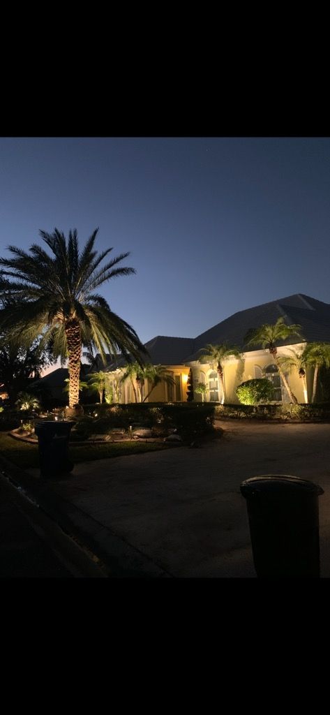 A palm tree is lit up in front of a house at night.