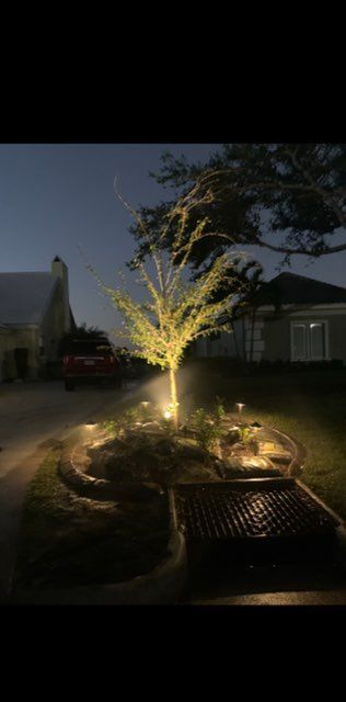 A tree is lit up at night in front of a house.
