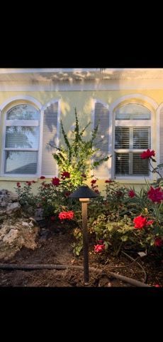 A garden with flowers and a light in front of a house.