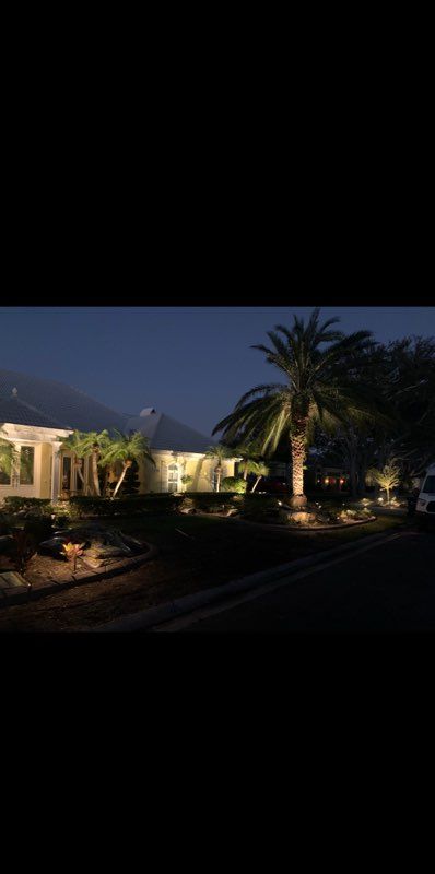 A palm tree is lit up in front of a house at night.