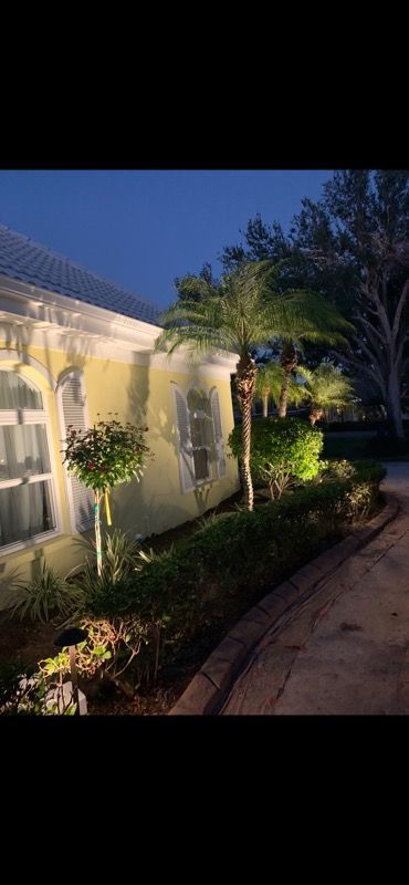 A house with a palm tree in front of it is lit up at night.