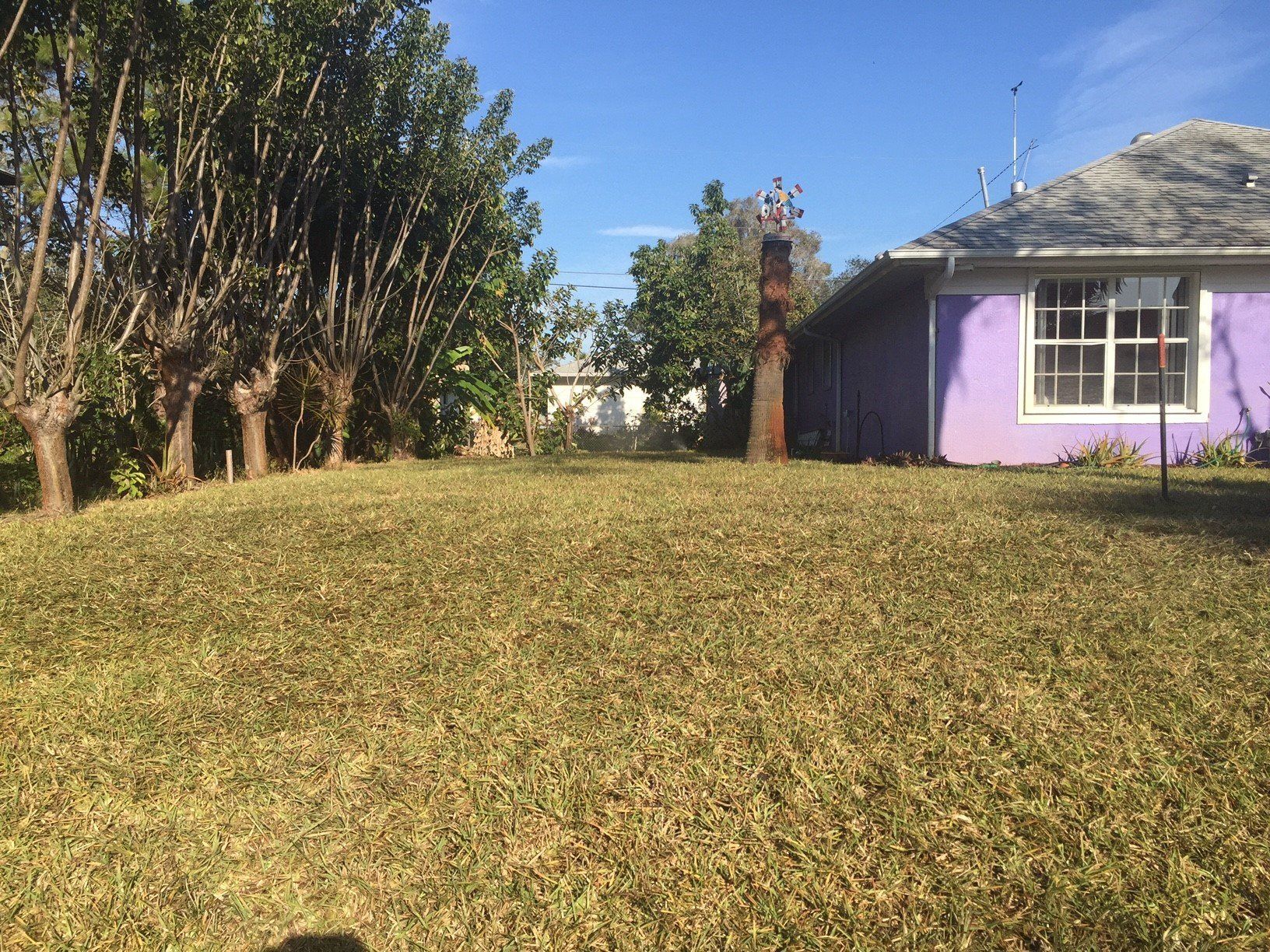 A purple house with a large lawn in front of it.