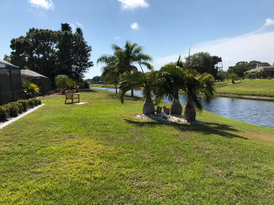 A lush green lawn with a bench and palm trees next to a body of water.