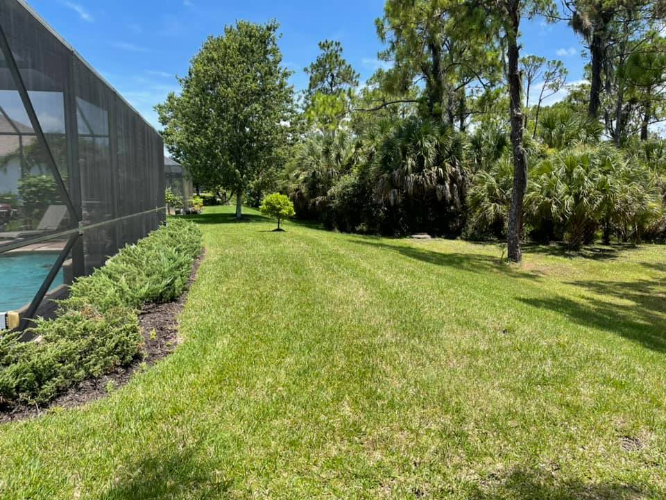 A lush green lawn with trees and a pool in the background.