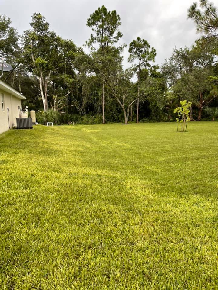 A lush green yard with trees and a house in the background