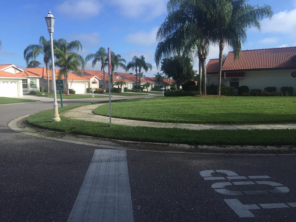 A stop sign is painted on the side of the road
