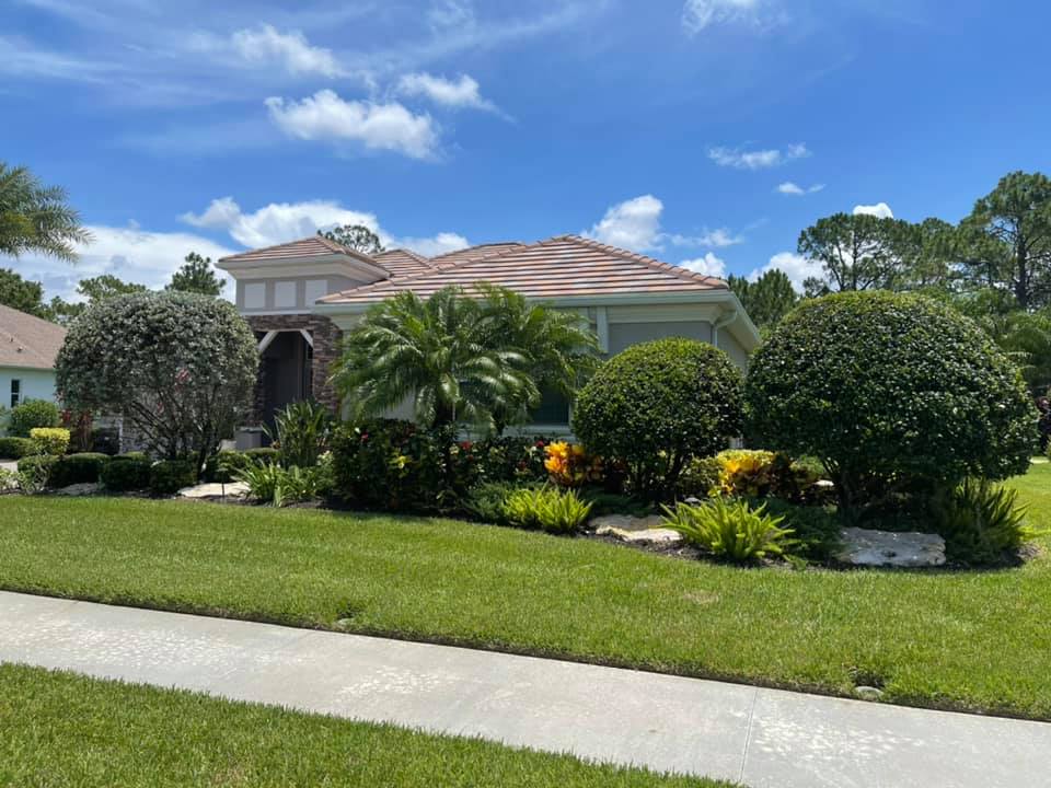A house with a lot of trees and bushes in front of it