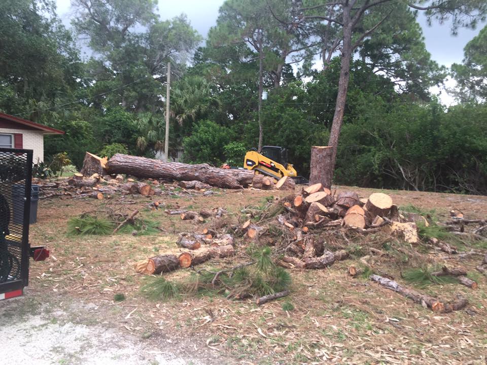 A pile of logs in a yard with trees in the background.